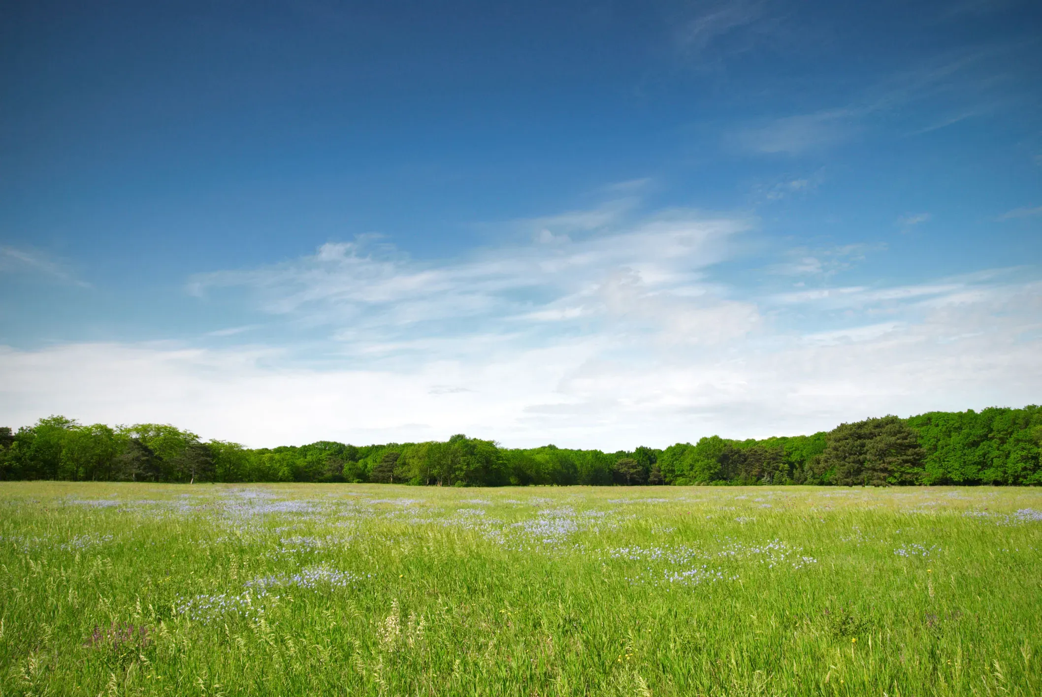 Background default 6